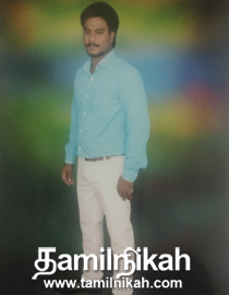  Tamil Muslim Matrimony Groom Profile-29660
